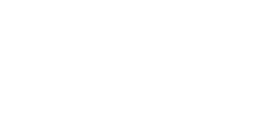 fox logo white